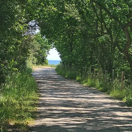 Mein-ostseeplaetzchen Haus Am 9 * Niesgrau